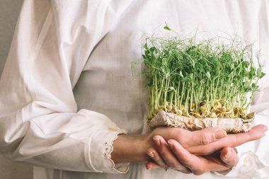 Beyaz elbiseli, arka planda yeşil bezelye filizleri olan bir kadın eli. Boşluğu kopyala