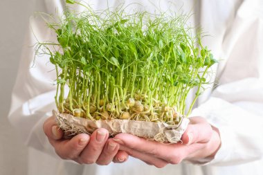 Beyaz elbiseli, arka planda yeşil bezelye filizleri olan bir kadın eli. Boşluğu kopyala