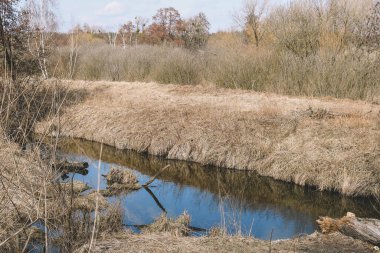 Bataklık, bataklıkta yetişen kuru otlarla aşırı nemli, nemli ve canlı toprak örtüsüyle karakterize edilen bir manzara alanıdır..