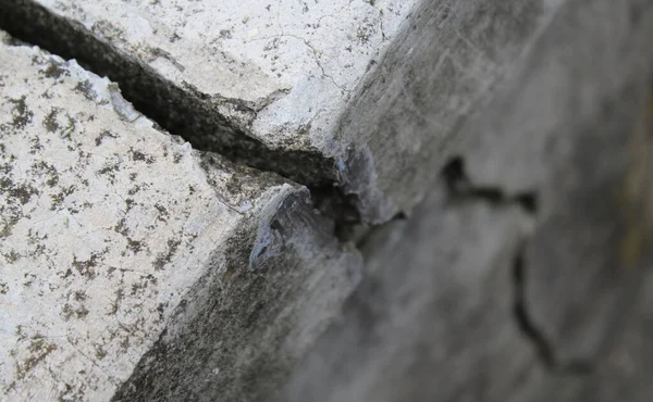 Depremin Ardından Duvarda Çatlak Var — Stok fotoğraf