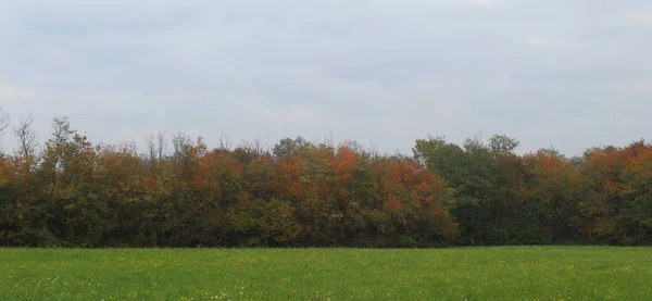 Podzimní Krajina Listopadový Den — Stock fotografie