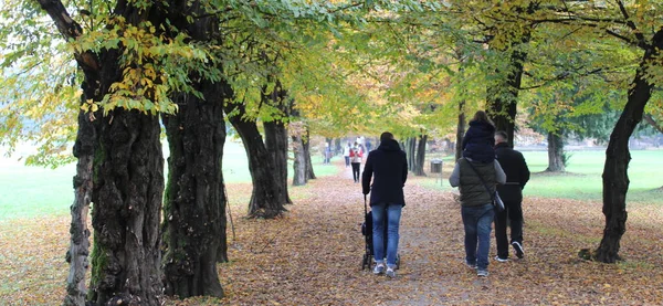 Люди Прогуливаются Парку Осенью — стоковое фото