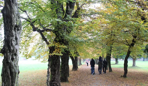Menschen Spazieren Herbst Durch Den Park — Stockfoto