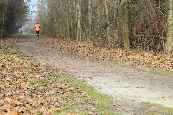 Corriendo Parque Otoño —  Fotos de Stock