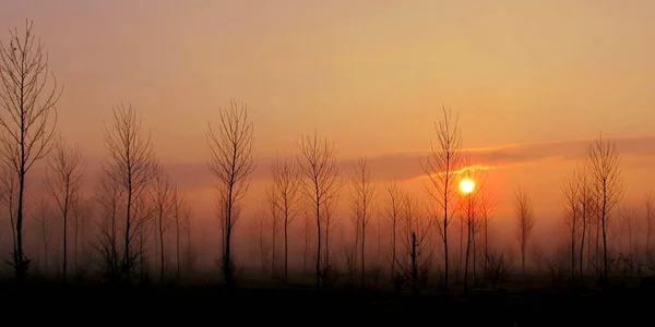 日の出と日没の田舎の冬の風景 — ストック写真