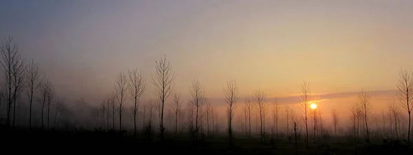 Paesaggio Invernale Campagna All Alba Tramonto — Foto Stock