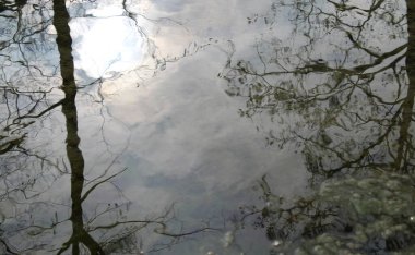 Hırvatistan 'daki Plitvice Ulusal Parkı' nda Doğa