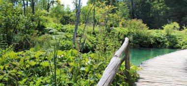 Hırvatistan 'da Plitvice Ulusal Parkı
