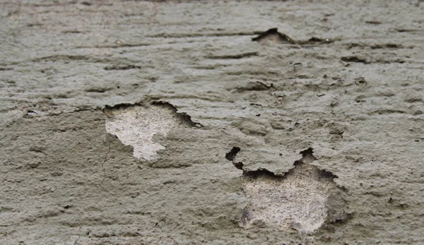 Duvar sıvası yükselen nemden zarar gördü