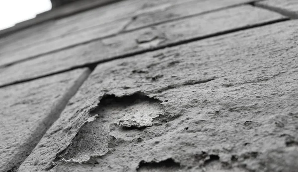 Duvar sıvası yükselen nemden zarar gördü