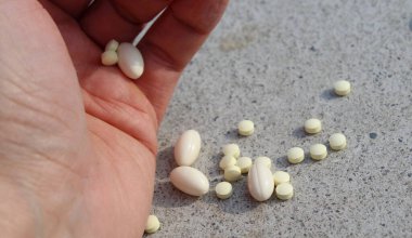 Hastalıklara karşı bir grup hap