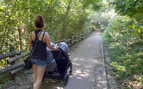 Молодая Женщина Прогуливается Своими Близнецами Парке Летом — стоковое фото
