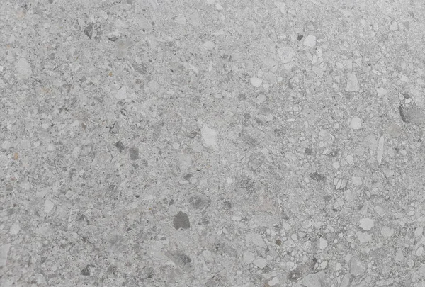 Dalle Pierre Gneiss Gris — Photo