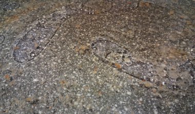 Mutfak tavasında kullanılmış yağ ve hayvan yağı.