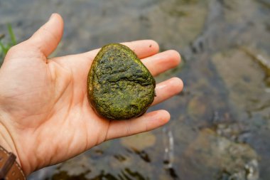 Elde tutulan büyük doğal bir nehir taşı