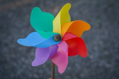 colorful pinwheel on grey background