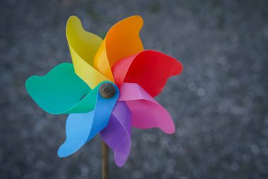 colorful pinwheel on grey background