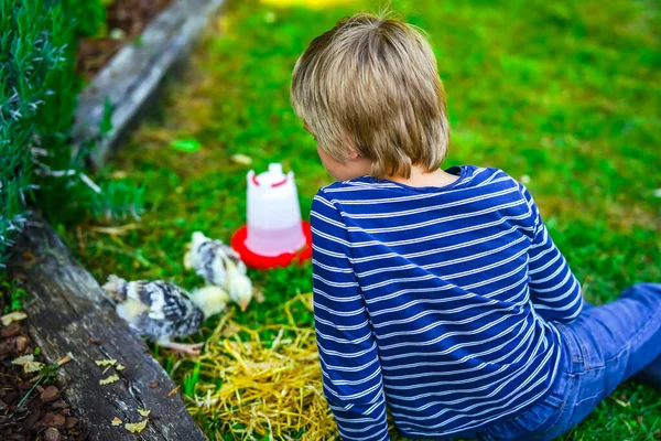 Junge Füttert Hühner Garten — Stockfoto