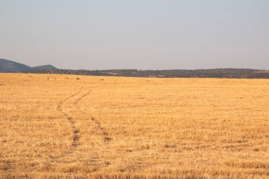 Endülüs 'ün İspanya' daki manzaraları