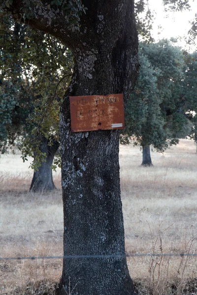 Σκουριασμένη Πινακίδα Κυνηγότοπος Στα Ισπανικά — Φωτογραφία Αρχείου