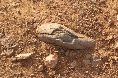 Güney İspanya 'daki Endülüs kırsalında yaz aylarında çorak ve kuru bir arazi.