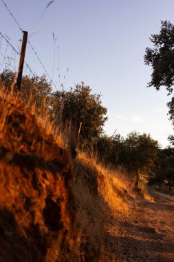 Endülüs 'ün güneyinde, Endülüs' te bir köyün kırsal kesiminde, bitki örtüsü ile kuru bir arazi.