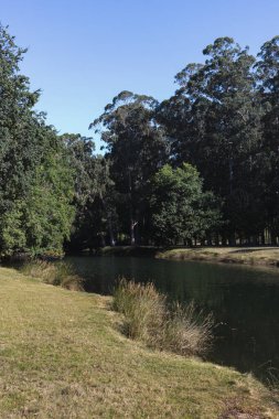 Galiçya, İspanya 'da Pontevedra şehrinde nehir
