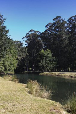 Galiçya, İspanya 'da Pontevedra şehrinde nehir