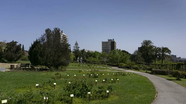 Parque Flores Urbano Barcelona España — Foto de Stock