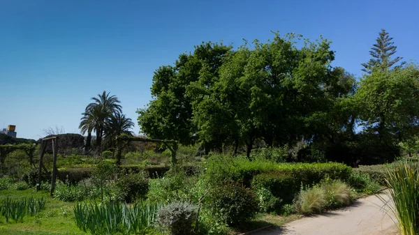 Parque Flores Urbano Barcelona España — Foto de Stock