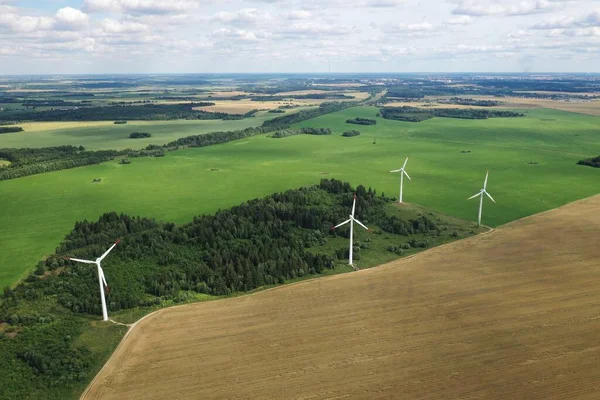 Windmills Summer Green Field Large Windmills Standing Field Forest Europe — Stock Photo, Image