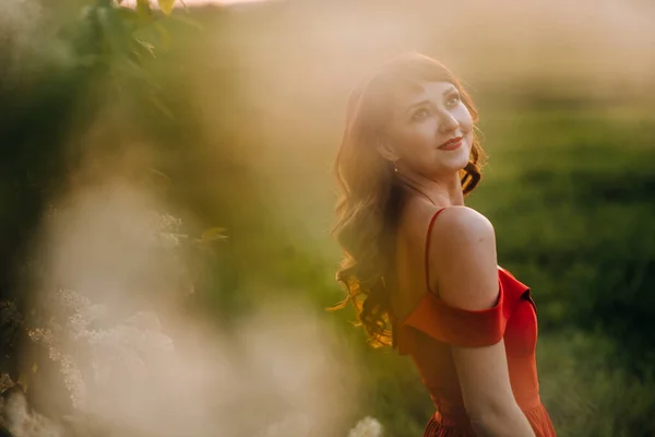 Uma menina bonita na primavera em um vestido vermelho está andando em um campo ao pôr do sol. Tirado do ar por um quadricóptero — Fotografia de Stock