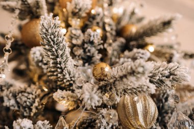 Noel ağacına yakın çekim. Yeni yıl arifesinde, karla kaplı bir Noel ağacı