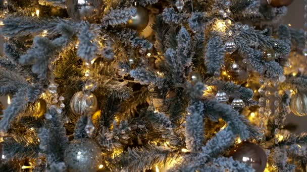クリスマスツリーのクローズアップ 大晦日には雪に覆われたクリスマスツリーが飾られます — ストック動画