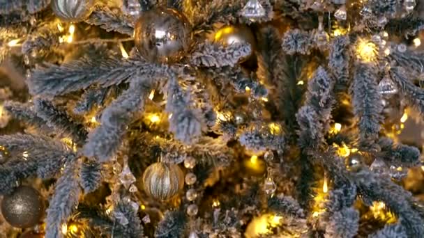 Primer Plano Del Árbol Navidad Víspera Año Nuevo Árbol Navidad — Vídeo de stock