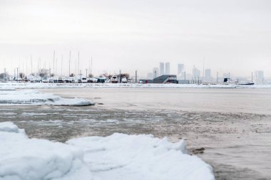 Tallinn yakınlarındaki Baltık Denizi 'nin kış gezisi. Kışın Baltık Eyaletleri 'nin kıyısında. Kışın Baltık Denizi..
