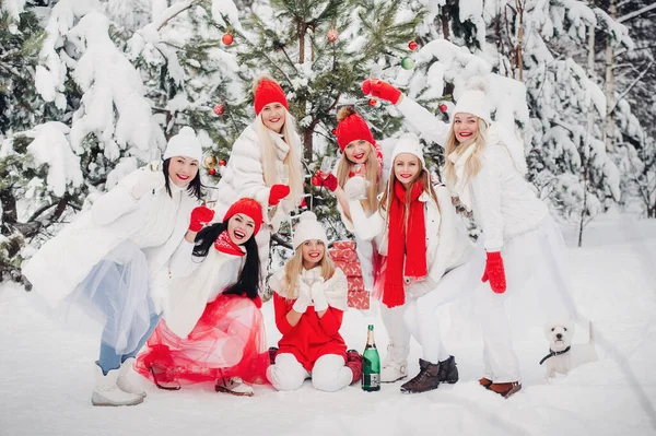 Grande Grupo Meninas Com Copos Champanhe Suas Mãos Fica Floresta — Fotografia de Stock