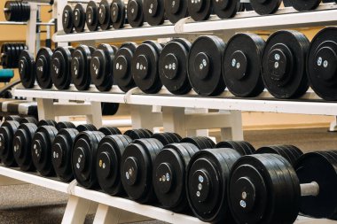 Salonda kontrastlı ve tek renk tonlu halterler var.