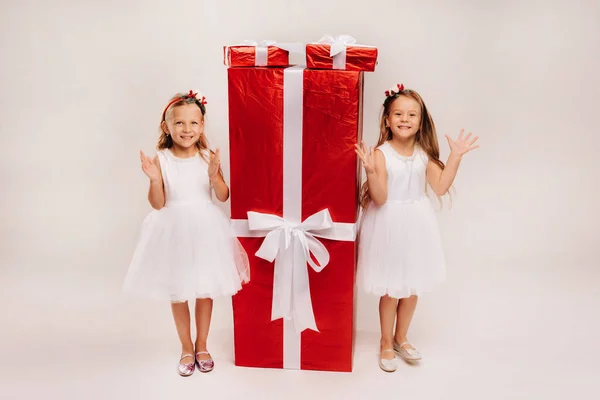 Dos Niñas Con Regalos Navidad Sobre Fondo Blanco Enorme Regalo —  Fotos de Stock