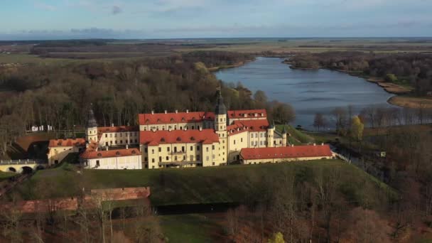 Terbang Atas Istana Nesvizh Taman Sekitar Kastil Dan Danau Video — Stok Video