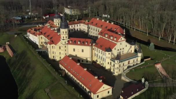 Terbang Atas Istana Nesvizh Taman Sekitar Kastil Dan Danau Video — Stok Video