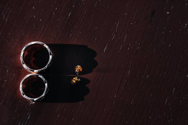 İki altın alyans ve iki böceğin yakın çekimi..