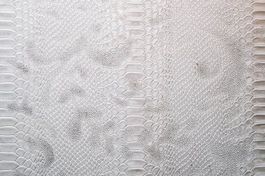 Timsah desenli deri. Ejderha derisi arkaplanı gümüş renklerde