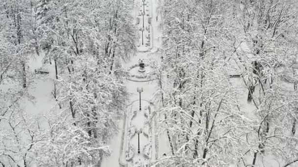 Ośnieżony park w centrum Mińska. Białoruś — Wideo stockowe