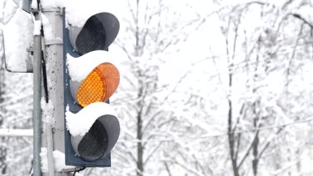 겨울에 도시의 거리에서 운행되는 교통 신호등. — 비디오