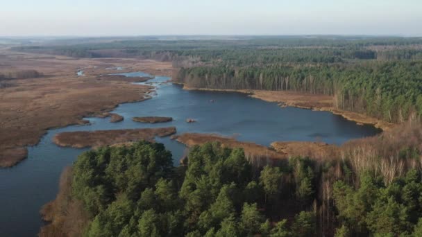 Vista da altura do lago Papernya na Bielorrússia. A natureza da Bielorrússia — Vídeo de Stock