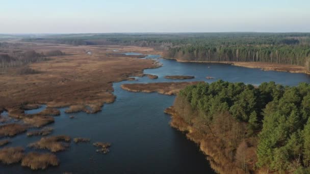 Blick von der Höhe des Papernya-Sees in Weißrussland. Die Natur Weißrusslands — Stockvideo