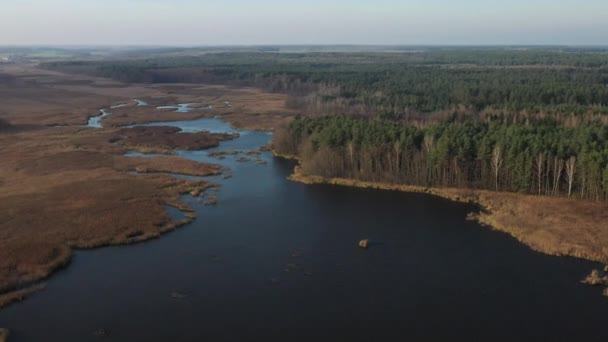 Vista da altura do lago Papernya na Bielorrússia. A natureza da Bielorrússia — Vídeo de Stock