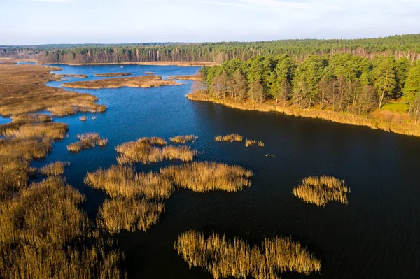 Blick Von Der Höhe Des Papernya Sees Weißrussland Die Natur — Stockfoto