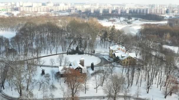 LUma ilha em um lago com uma ponte no inverno Loshitsky Park.Minsk, Bielorrússia — Vídeo de Stock